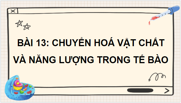 Giáo án điện tử Sinh 10 Kết nối tri thức Bài 13: Khái quát về chuyển hóa vật chất và năng lượng | PPT Sinh học 10