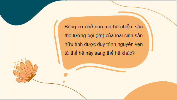 Giáo án điện tử Sinh 10 Cánh diều Bài 14: Giảm phân | PPT Sinh học 10