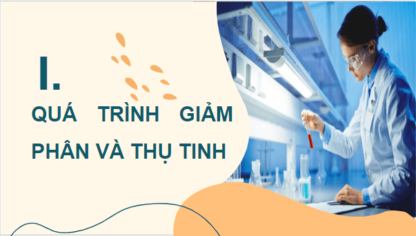 Giáo án điện tử Sinh 10 Cánh diều Bài 14: Giảm phân | PPT Sinh học 10