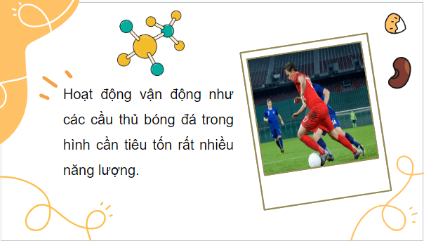 Giáo án điện tử Sinh 10 Kết nối tri thức Bài 14: Phân giải và tổng hợp các chất trong tế bào | PPT Sinh học 10