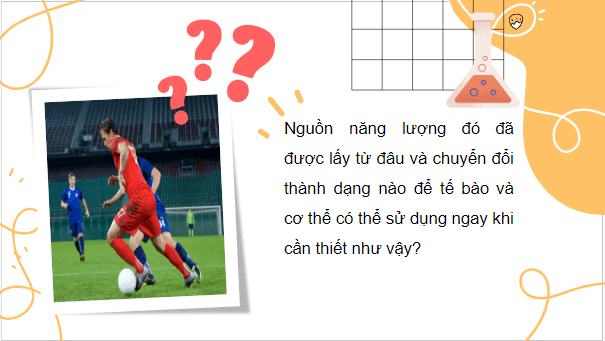 Giáo án điện tử Sinh 10 Kết nối tri thức Bài 14: Phân giải và tổng hợp các chất trong tế bào | PPT Sinh học 10