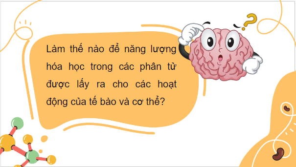 Giáo án điện tử Sinh 10 Kết nối tri thức Bài 14: Phân giải và tổng hợp các chất trong tế bào | PPT Sinh học 10