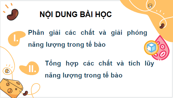 Giáo án điện tử Sinh 10 Kết nối tri thức Bài 14: Phân giải và tổng hợp các chất trong tế bào | PPT Sinh học 10