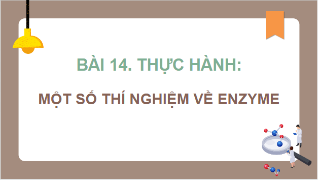 Giáo án điện tử Sinh 10 Chân trời sáng tạo Bài 14: Thực hành: một số thí nghiệm về enzyme | PPT Sinh học 10