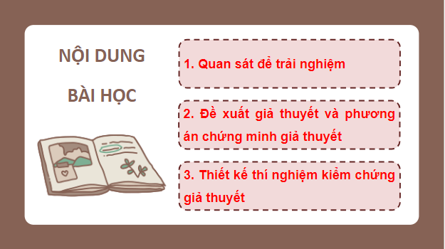 Giáo án điện tử Sinh 10 Chân trời sáng tạo Bài 14: Thực hành: một số thí nghiệm về enzyme | PPT Sinh học 10