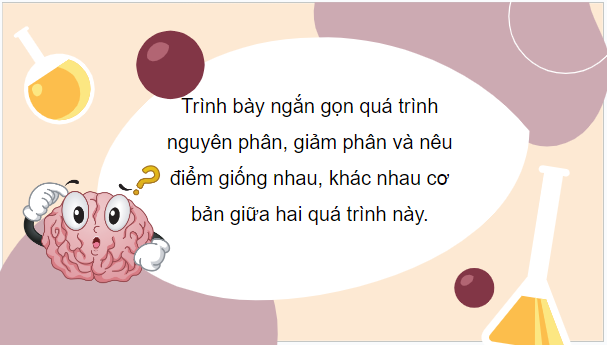 Giáo án điện tử Sinh 10 Cánh diều Bài 15: Thực hành làm tiêu bản nhiễm sắc thể để quan sát quá trình nguyên phân, giảm phân ở tế bào thực vật, dộng vật | PPT Sinh học 10