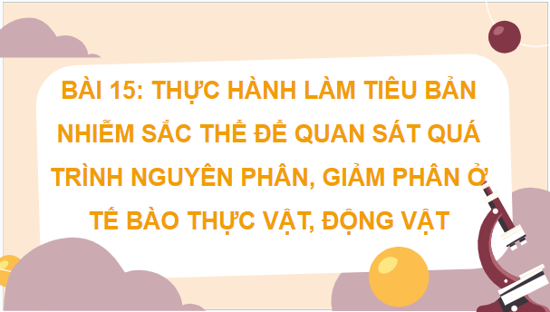 Giáo án điện tử Sinh 10 Cánh diều Bài 15: Thực hành làm tiêu bản nhiễm sắc thể để quan sát quá trình nguyên phân, giảm phân ở tế bào thực vật, dộng vật | PPT Sinh học 10