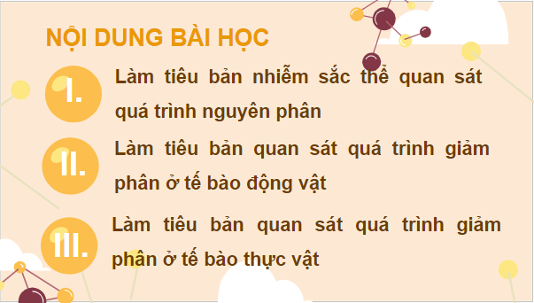 Giáo án điện tử Sinh 10 Cánh diều Bài 15: Thực hành làm tiêu bản nhiễm sắc thể để quan sát quá trình nguyên phân, giảm phân ở tế bào thực vật, dộng vật | PPT Sinh học 10