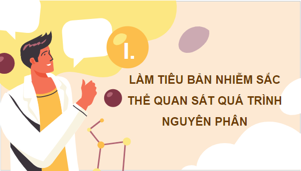 Giáo án điện tử Sinh 10 Cánh diều Bài 15: Thực hành làm tiêu bản nhiễm sắc thể để quan sát quá trình nguyên phân, giảm phân ở tế bào thực vật, dộng vật | PPT Sinh học 10