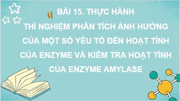 Giáo án điện tử Sinh 10 Kết nối tri thức Bài 15: Thực hành thí nghiệm phân tích ảnh hưởng của một số yếu tố đến hoạt tính của enzyme và kiểm tra hoạt tính của enzyme amylase | PPT Sinh học 10