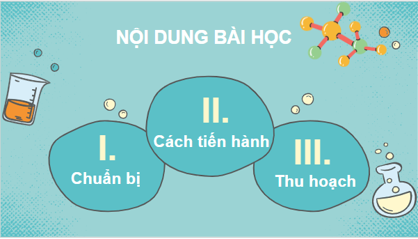 Giáo án điện tử Sinh 10 Kết nối tri thức Bài 15: Thực hành thí nghiệm phân tích ảnh hưởng của một số yếu tố đến hoạt tính của enzyme và kiểm tra hoạt tính của enzyme amylase | PPT Sinh học 10