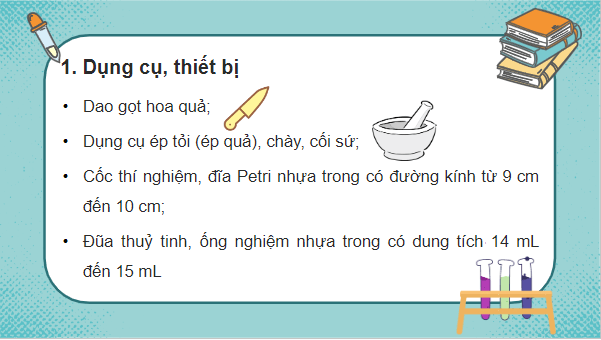 Giáo án điện tử Sinh 10 Kết nối tri thức Bài 15: Thực hành thí nghiệm phân tích ảnh hưởng của một số yếu tố đến hoạt tính của enzyme và kiểm tra hoạt tính của enzyme amylase | PPT Sinh học 10