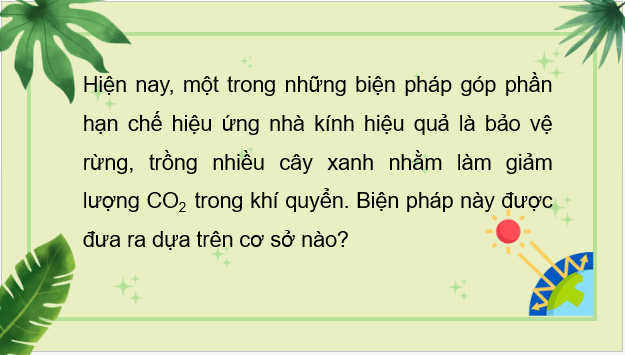 Giáo án điện tử Sinh 10 Chân trời sáng tạo Bài 15: Tổng hợp các chất và tích lũy năng lượng | PPT Sinh học 10