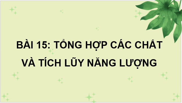 Giáo án điện tử Sinh 10 Chân trời sáng tạo Bài 15: Tổng hợp các chất và tích lũy năng lượng | PPT Sinh học 10