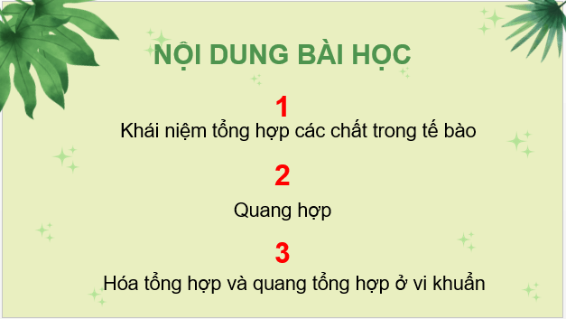 Giáo án điện tử Sinh 10 Chân trời sáng tạo Bài 15: Tổng hợp các chất và tích lũy năng lượng | PPT Sinh học 10