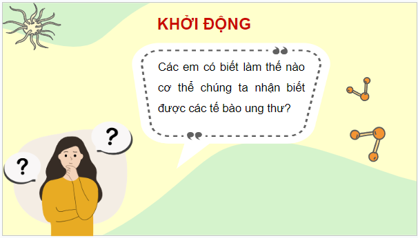 Giáo án điện tử Sinh 10 Kết nối tri thức Bài 16: Chu kì tế bào và nguyên phân | PPT Sinh học 10