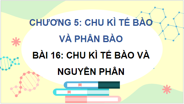 Giáo án điện tử Sinh 10 Kết nối tri thức Bài 16: Chu kì tế bào và nguyên phân | PPT Sinh học 10