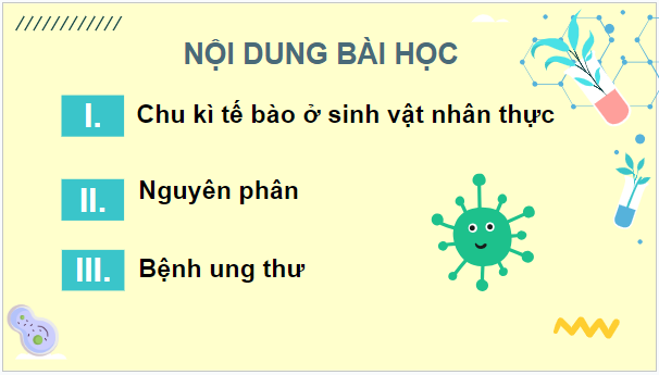 Giáo án điện tử Sinh 10 Kết nối tri thức Bài 16: Chu kì tế bào và nguyên phân | PPT Sinh học 10