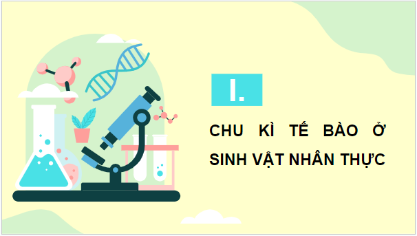 Giáo án điện tử Sinh 10 Kết nối tri thức Bài 16: Chu kì tế bào và nguyên phân | PPT Sinh học 10