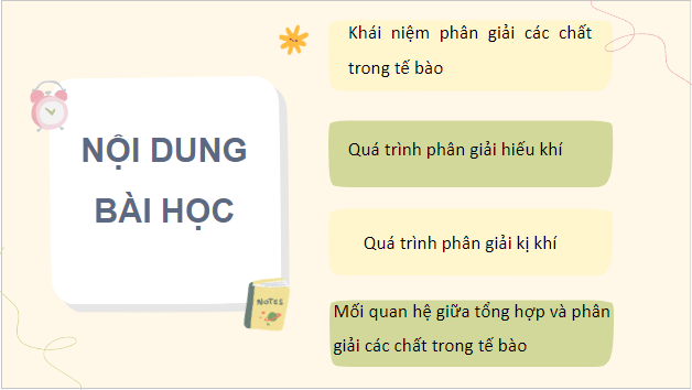 Giáo án điện tử Sinh 10 Chân trời sáng tạo Bài 16: Phân giải các chất và giải phóng năng lượng | PPT Sinh học 10