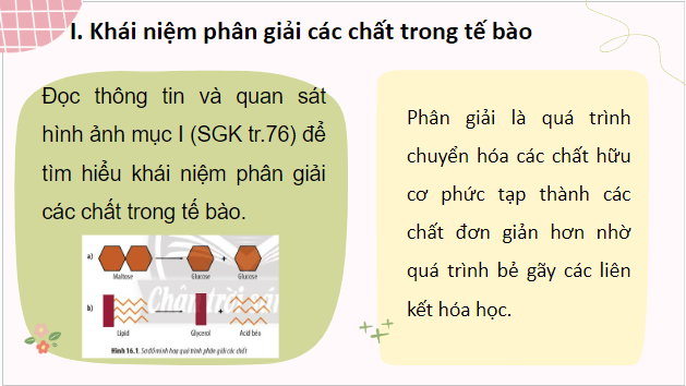 Giáo án điện tử Sinh 10 Chân trời sáng tạo Bài 16: Phân giải các chất và giải phóng năng lượng | PPT Sinh học 10