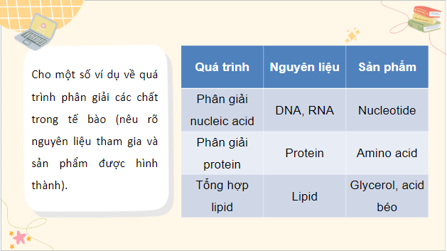 Giáo án điện tử Sinh 10 Chân trời sáng tạo Bài 16: Phân giải các chất và giải phóng năng lượng | PPT Sinh học 10