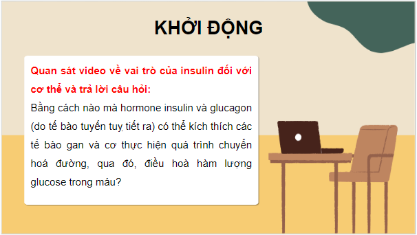 Giáo án điện tử Sinh 10 Chân trời sáng tạo Bài 17: Thông tin giữa các tế bào | PPT Sinh học 10