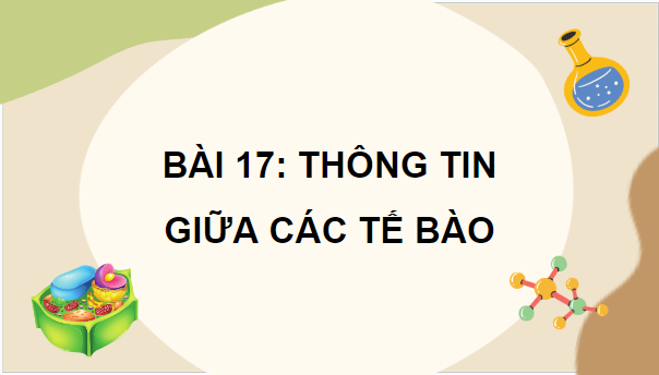 Giáo án điện tử Sinh 10 Chân trời sáng tạo Bài 17: Thông tin giữa các tế bào | PPT Sinh học 10