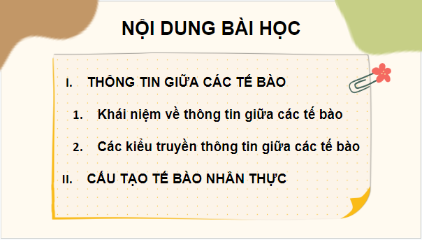 Giáo án điện tử Sinh 10 Chân trời sáng tạo Bài 17: Thông tin giữa các tế bào | PPT Sinh học 10