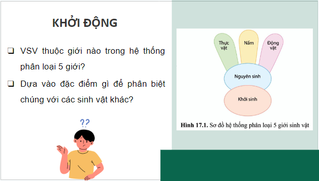 Giáo án điện tử Sinh 10 Cánh diều Bài 17: Vi sinh vật và các phương pháp nghiên cứu vi sinh vật | PPT Sinh học 10