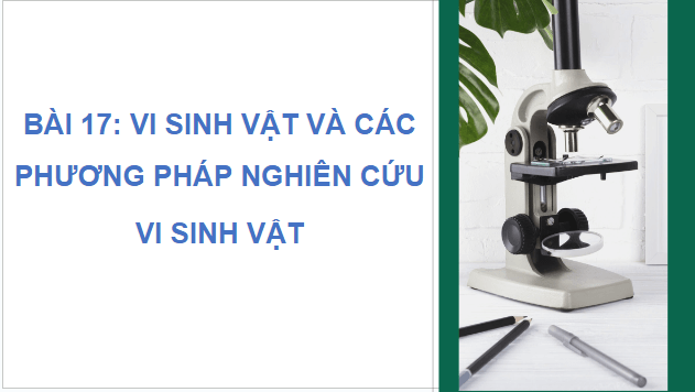 Giáo án điện tử Sinh 10 Cánh diều Bài 17: Vi sinh vật và các phương pháp nghiên cứu vi sinh vật | PPT Sinh học 10