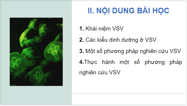 Giáo án điện tử Sinh 10 Cánh diều Bài 17: Vi sinh vật và các phương pháp nghiên cứu vi sinh vật | PPT Sinh học 10