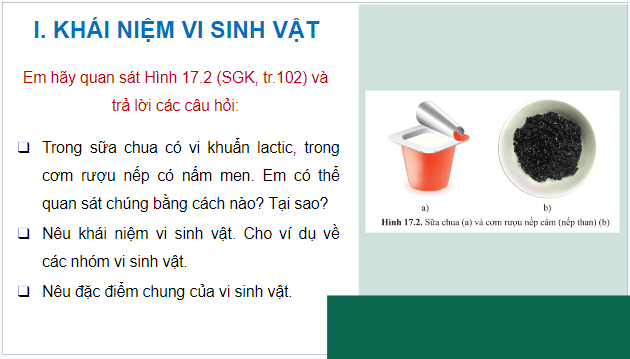 Giáo án điện tử Sinh 10 Cánh diều Bài 17: Vi sinh vật và các phương pháp nghiên cứu vi sinh vật | PPT Sinh học 10