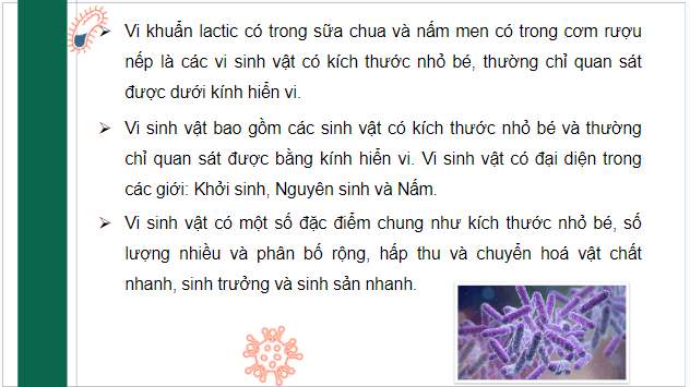 Giáo án điện tử Sinh 10 Cánh diều Bài 17: Vi sinh vật và các phương pháp nghiên cứu vi sinh vật | PPT Sinh học 10