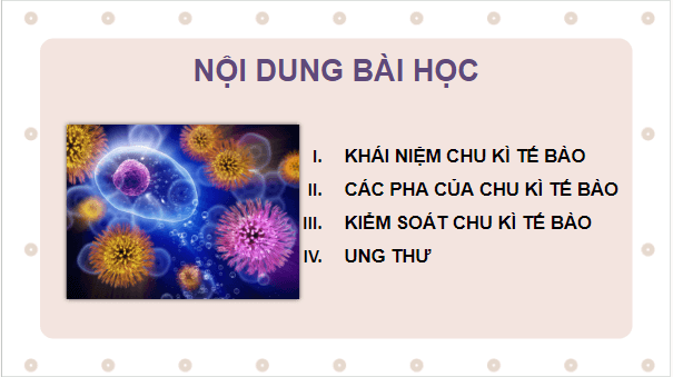 Giáo án điện tử Sinh 10 Chân trời sáng tạo Bài 18: Chu kỳ tế bào | PPT Sinh học 10