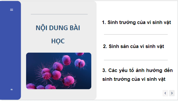 Giáo án điện tử Sinh 10 Cánh diều Bài 18: Sinh trưởng và sinh sản ở vi sinh vật | PPT Sinh học 10