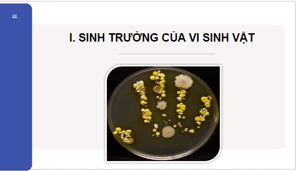 Giáo án điện tử Sinh 10 Cánh diều Bài 18: Sinh trưởng và sinh sản ở vi sinh vật | PPT Sinh học 10