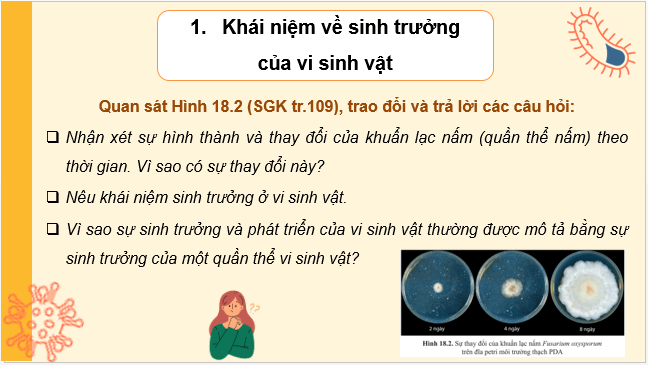 Giáo án điện tử Sinh 10 Cánh diều Bài 18: Sinh trưởng và sinh sản ở vi sinh vật | PPT Sinh học 10