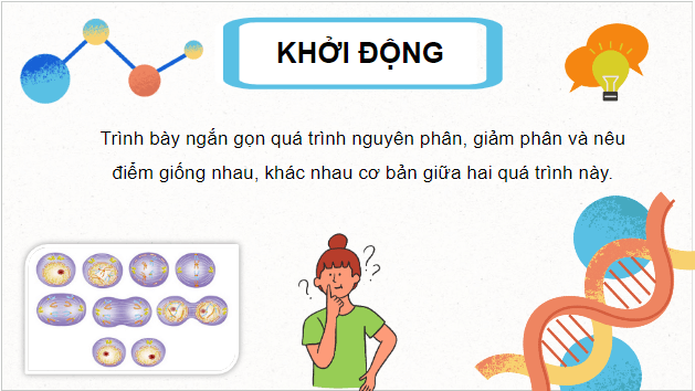 Giáo án điện tử Sinh 10 Kết nối tri thức Bài 18: Thực hành làm và quan sát tiêu bản quá trình nguyên phân và giảm phân | PPT Sinh học 10