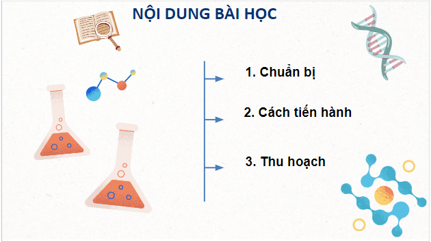 Giáo án điện tử Sinh 10 Kết nối tri thức Bài 18: Thực hành làm và quan sát tiêu bản quá trình nguyên phân và giảm phân | PPT Sinh học 10