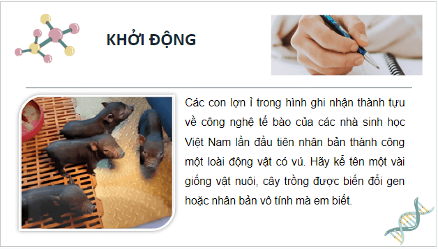 Giáo án điện tử Sinh 10 Kết nối tri thức Bài 19: Công nghệ tế bào | PPT Sinh học 10