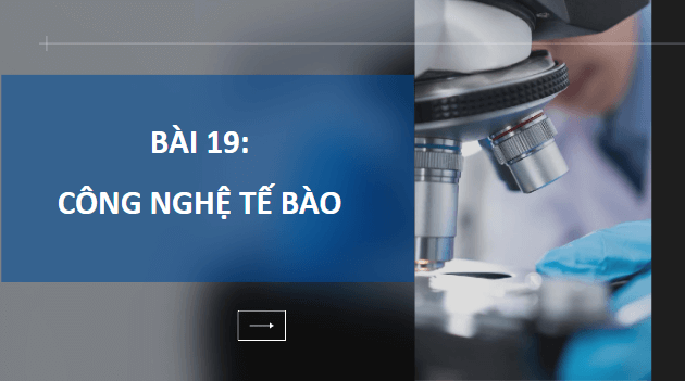 Giáo án điện tử Sinh 10 Kết nối tri thức Bài 19: Công nghệ tế bào | PPT Sinh học 10