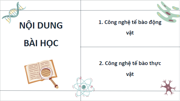 Giáo án điện tử Sinh 10 Kết nối tri thức Bài 19: Công nghệ tế bào | PPT Sinh học 10