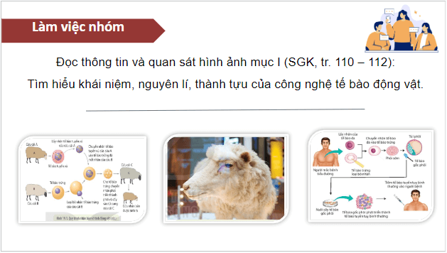 Giáo án điện tử Sinh 10 Kết nối tri thức Bài 19: Công nghệ tế bào | PPT Sinh học 10