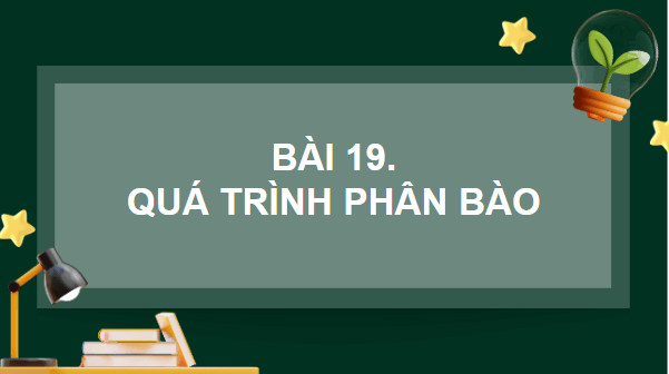 Giáo án điện tử Sinh 10 Chân trời sáng tạo Bài 19: Quá trình phân bào | PPT Sinh học 10