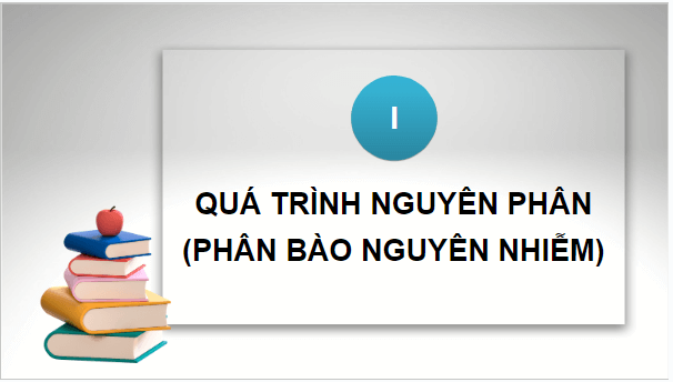 Giáo án điện tử Sinh 10 Chân trời sáng tạo Bài 19: Quá trình phân bào | PPT Sinh học 10