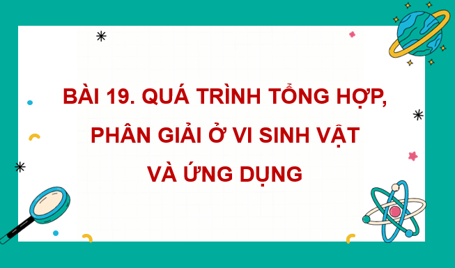 Giáo án điện tử Sinh 10 Cánh diều Bài 19: Quá trình tổng họp phân giải ở vi sinh vật và ứng dụng | PPT Sinh học 10