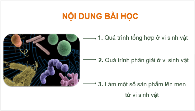 Giáo án điện tử Sinh 10 Cánh diều Bài 19: Quá trình tổng họp phân giải ở vi sinh vật và ứng dụng | PPT Sinh học 10