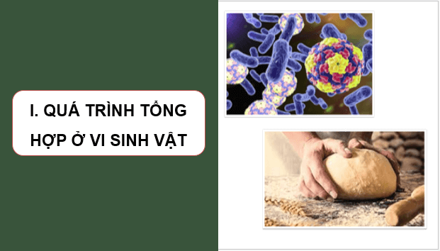 Giáo án điện tử Sinh 10 Cánh diều Bài 19: Quá trình tổng họp phân giải ở vi sinh vật và ứng dụng | PPT Sinh học 10