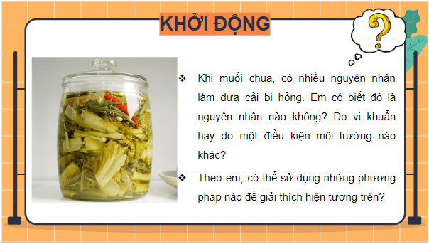 Giáo án điện tử Sinh 10 Cánh diều Bài 2: Các phương pháp nghiên cứu và học tập môn Sinh học | PPT Sinh học 10